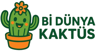 Bi Dünya Kaktüs